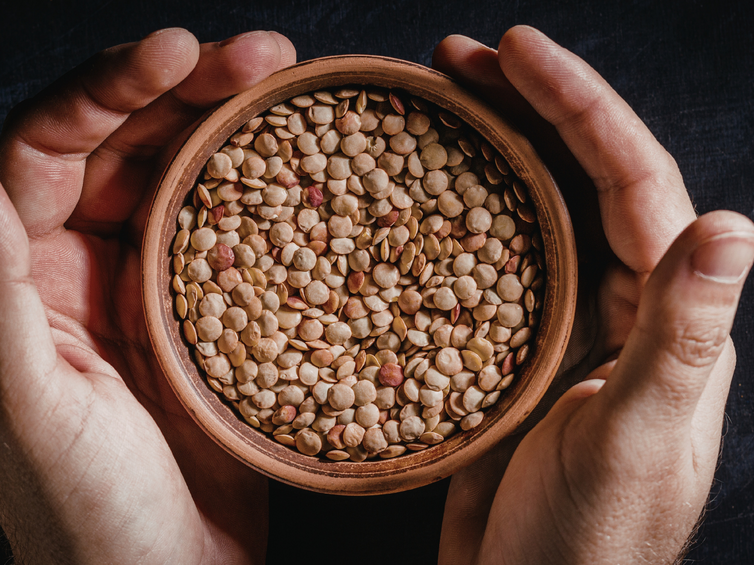 CIOTOLA DI LENTICCHIE