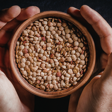 CIOTOLA DI LENTICCHIE