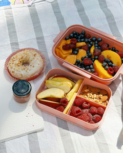 lunch box merenda