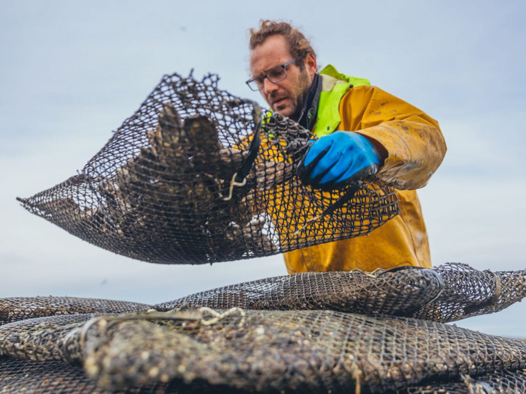 ASC - Pescatore durante il suo lavoro