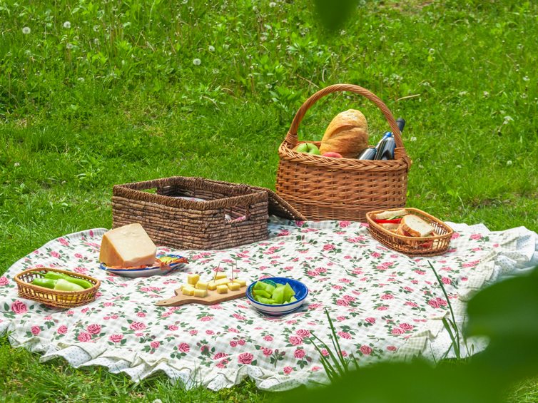 pic nic primavera