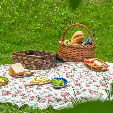 pic nic primavera