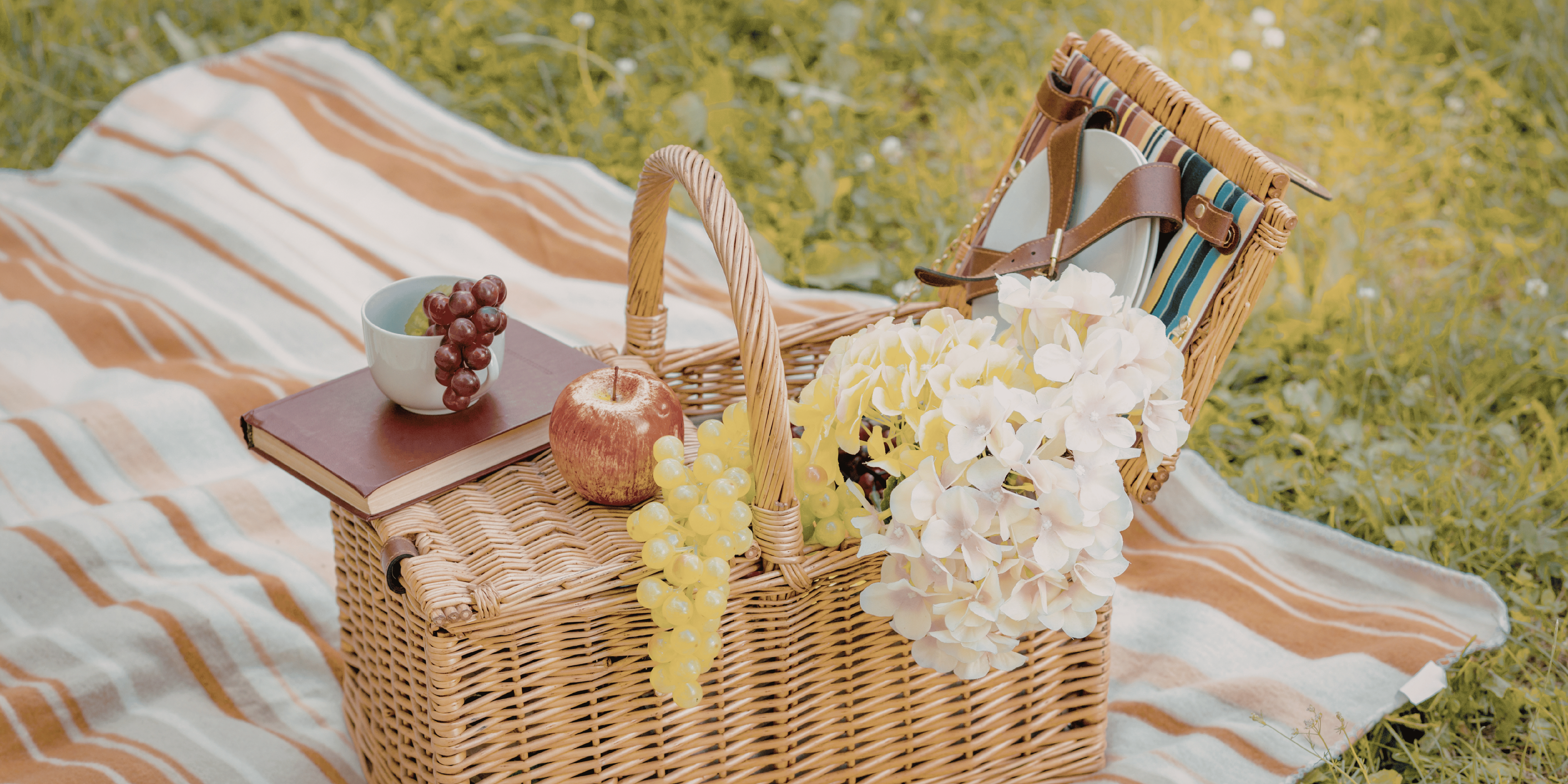 Picnic